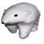voidpls's avatar
